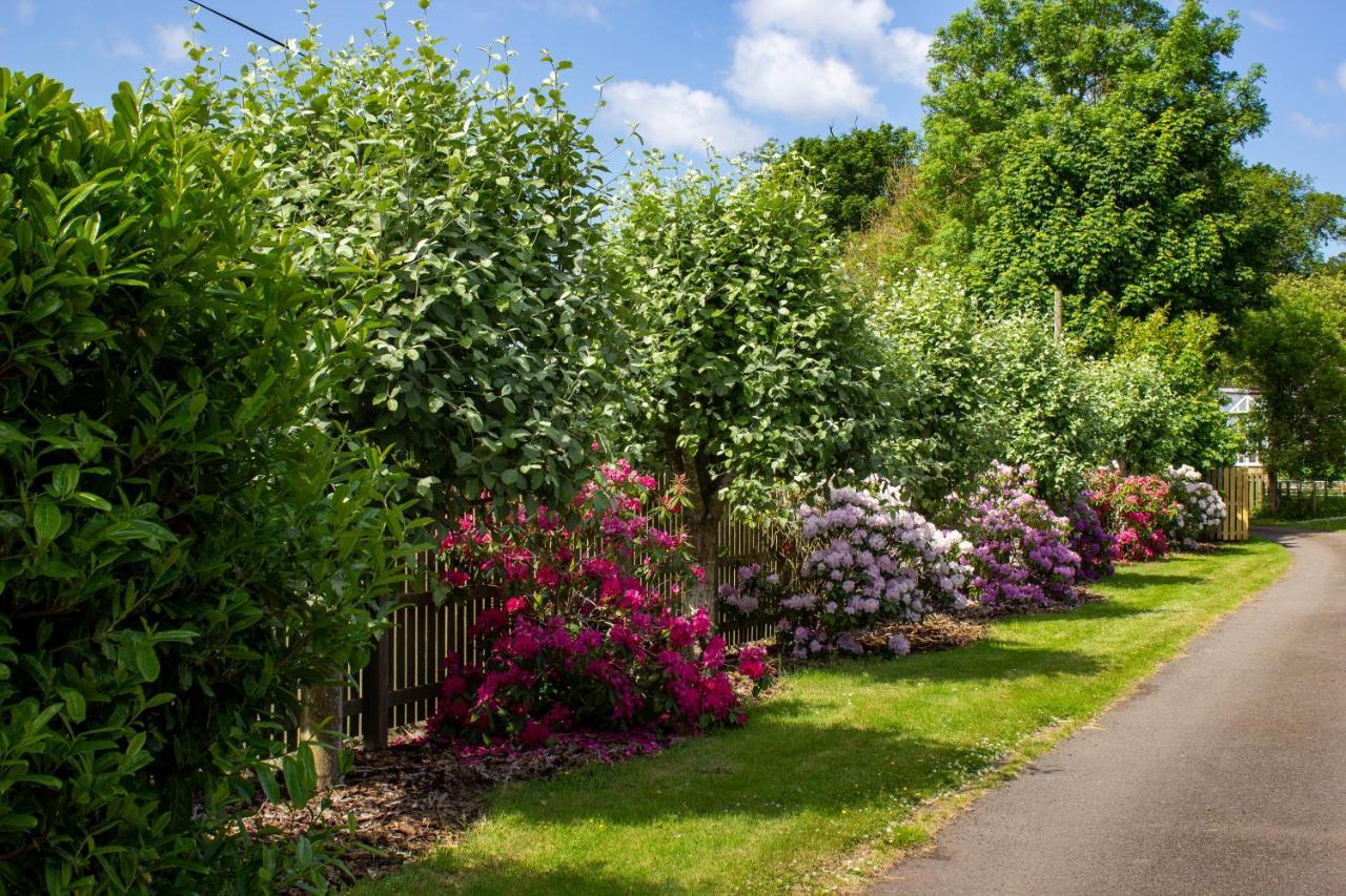 Home Farm B&B - Poppy Room Forfar Exterior foto